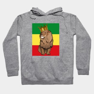 Rasta Reggae Rastafari Hoodie